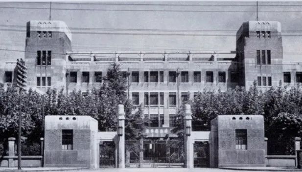 杨老作品推文480.png 图片