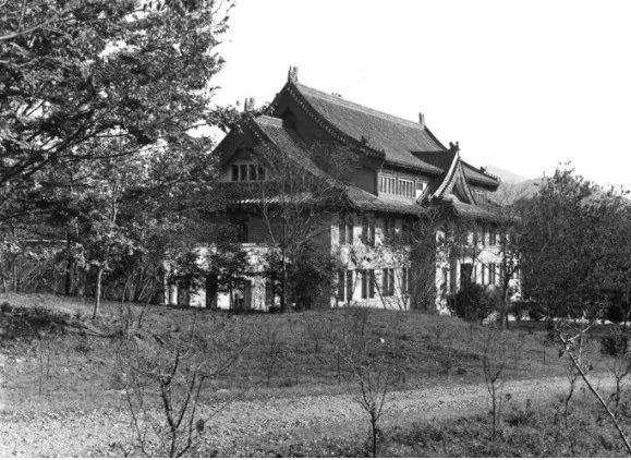 杨老作品推文943.png 图片